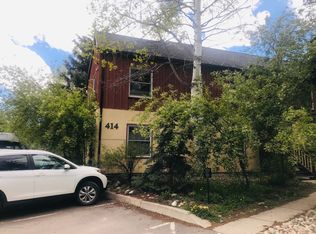 414 Pacific Ave #D, Aspen, CO 81611