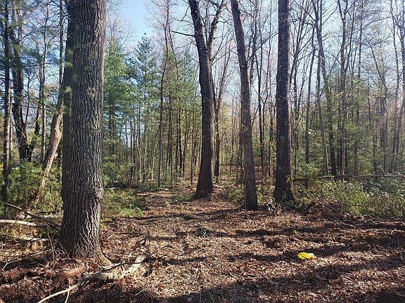 3rd image of 0 Northwest Rd Lot 4
