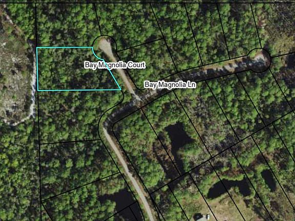 3rd image of 146 Bay Magnolia Ct
