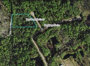 146 Bay Magnolia Ct, Carrabelle, FL 32322