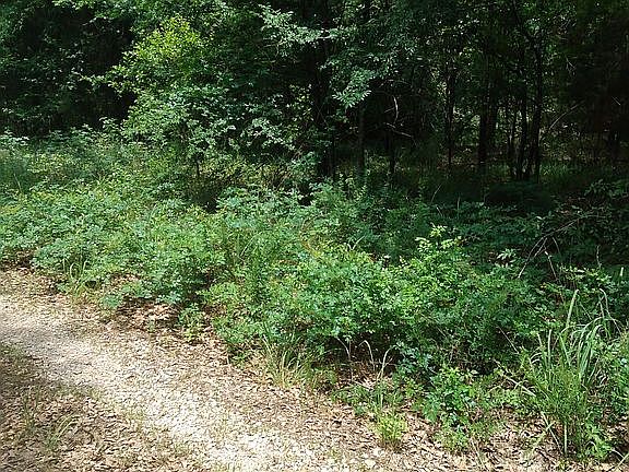 4th image of Vz County Road 3222