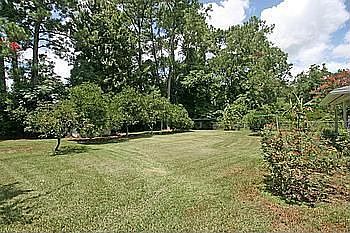 Lots of Fruit Trees