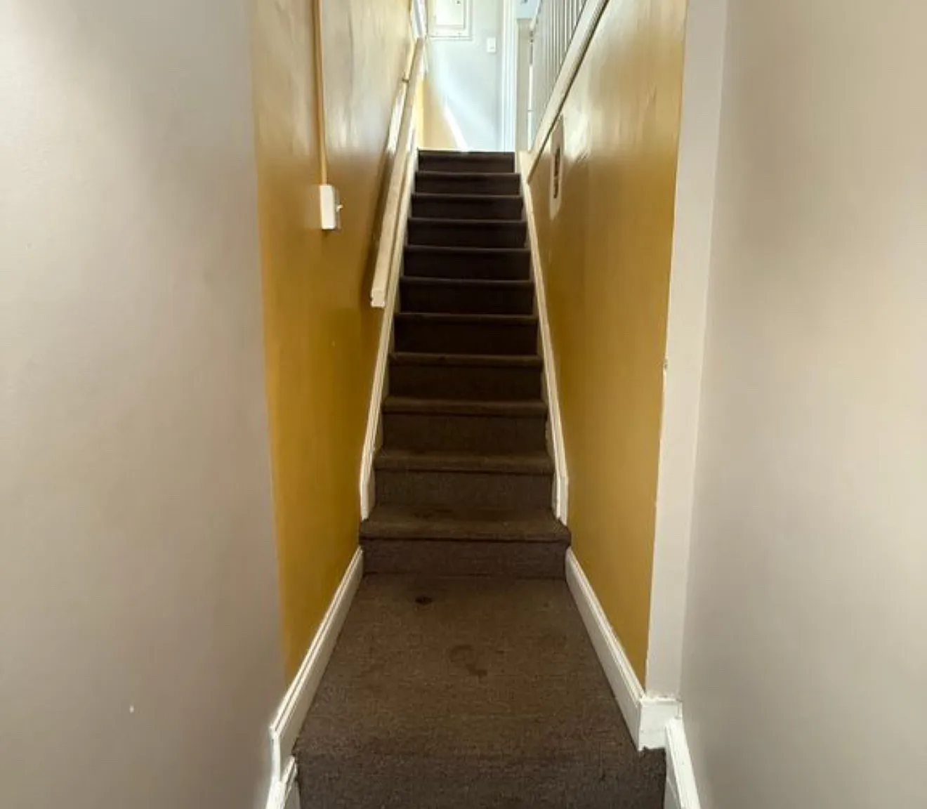 1 bed, 750 sqft, $2,500 — Photo 1
