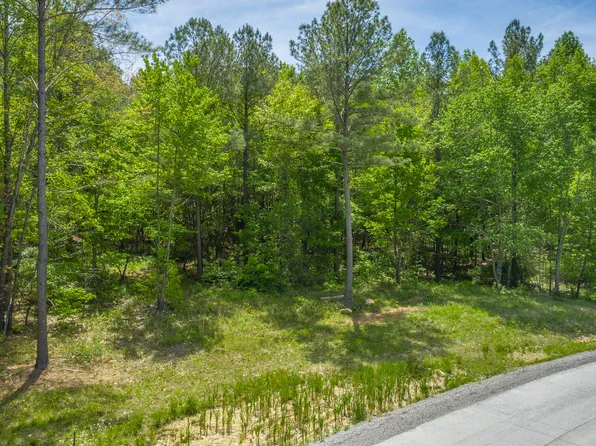 0 Birds Eye Way Lot 1111, Guild, TN 37340