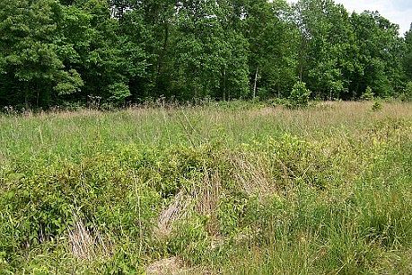2nd image of 655 Sour Branch Rd