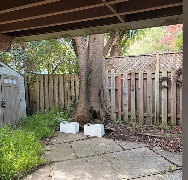 407 Maple St #6 — Photo 2