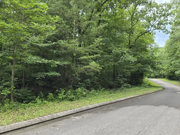 135 Lower Brow Rd, Dunlap, TN 37327