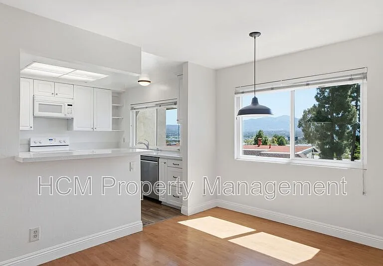 23455 Caminito Lazaro #228 — Photo 7