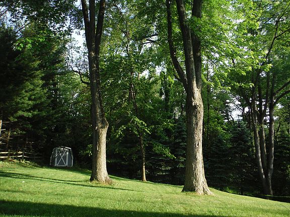 Mature trees & park setting