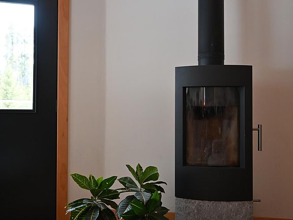 Cozy and efficient woodstove.