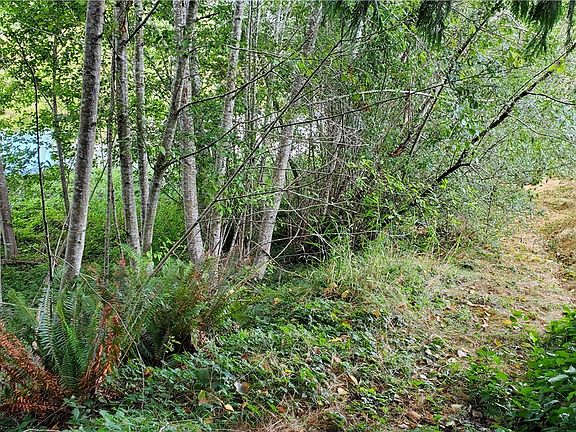 4th image of 1680 W Star Lake Dr