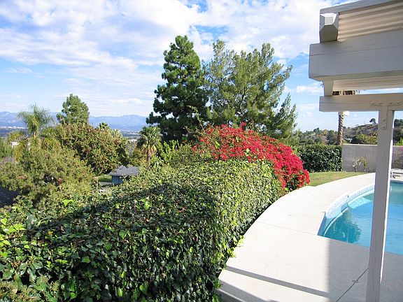 Pool looking East