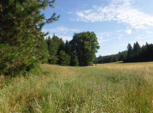 1 Moose Ridge Way, Loon Lake, WA 99148