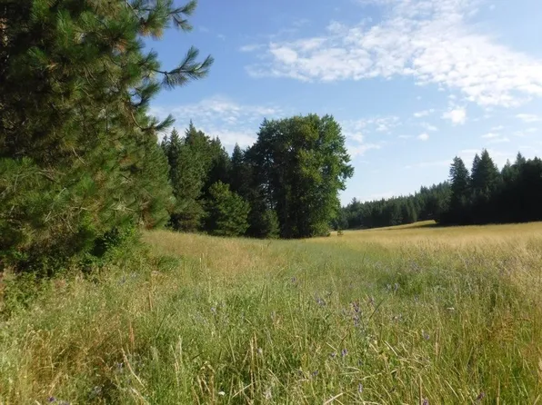 1 Moose Ridge Way, Loon Lake, WA 99148