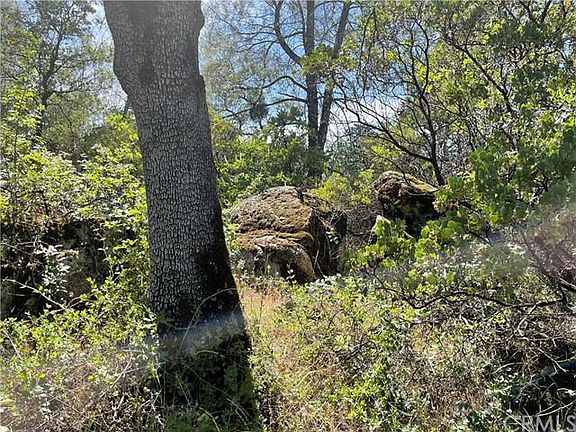 4th image of 0 Wayman Ln