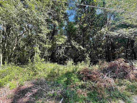 3rd image of LOT 5 Lakeside Dr