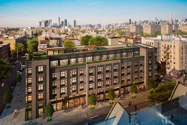 Rented by Compass | media 5