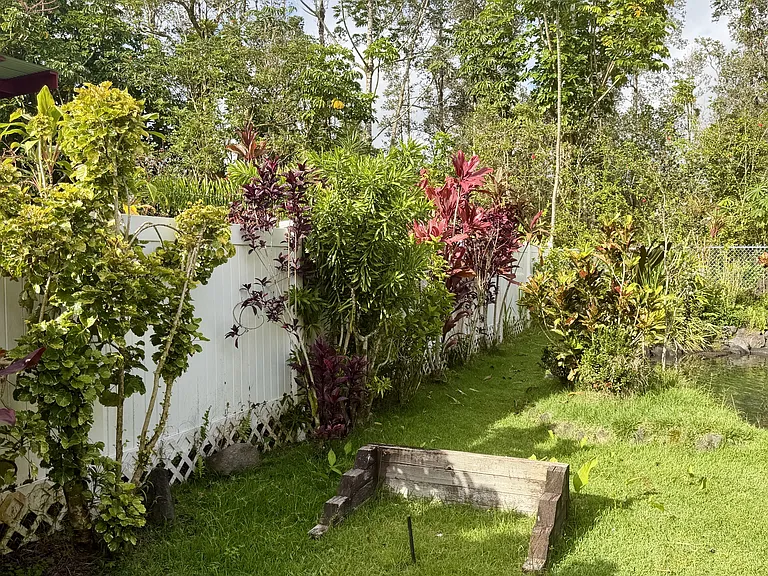 Landscaping provides some privacy from neighboring home