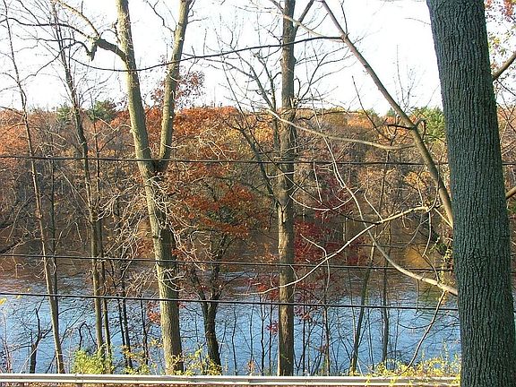 view from deck