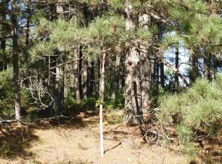 27XX E Ellison Lake Rd, Solon Springs, WI 54873