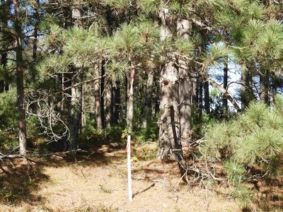 27XX E Ellison Lake Rd, Solon Springs, WI, 54873