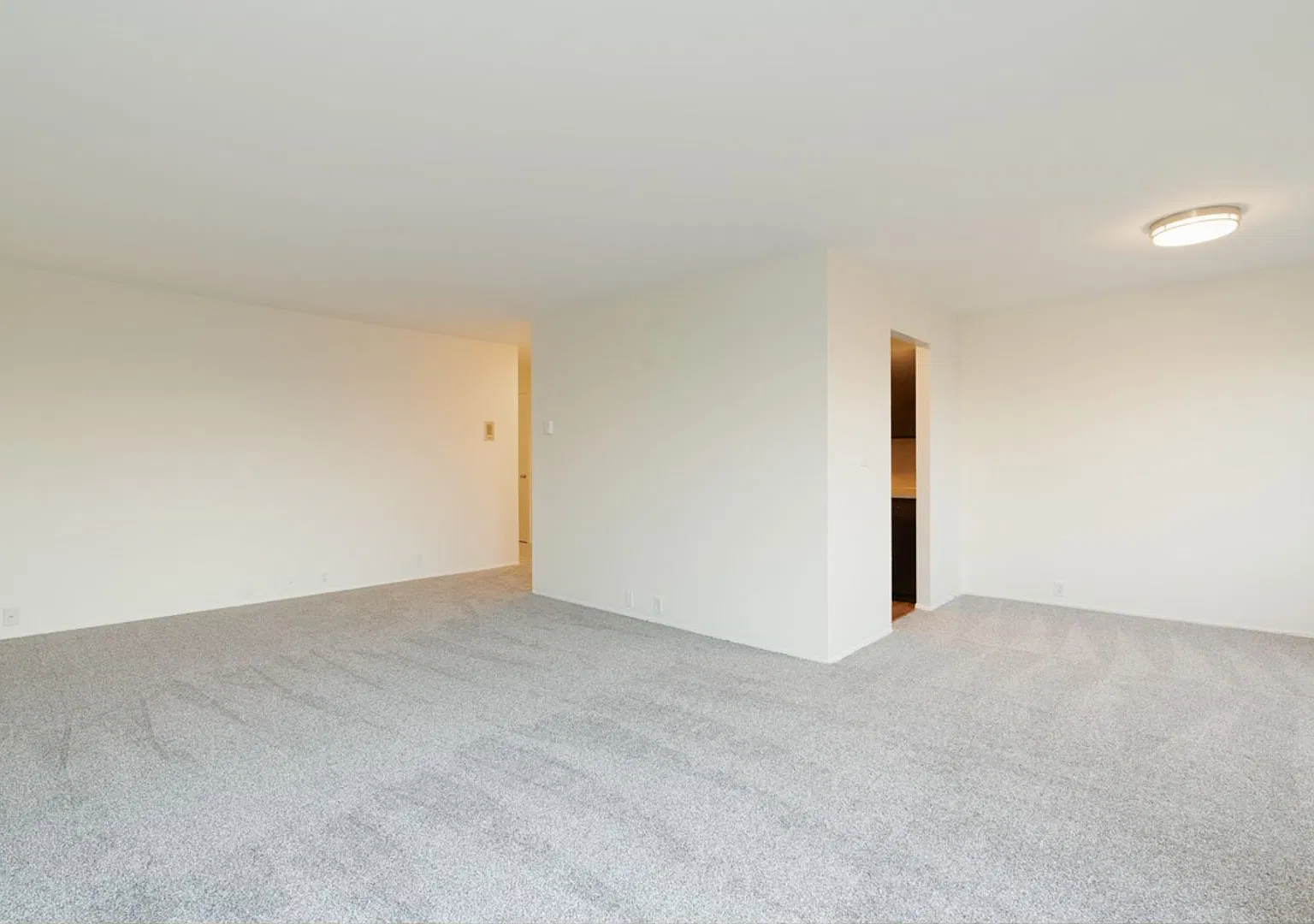 Forrest Manor Apartments — Photo 4