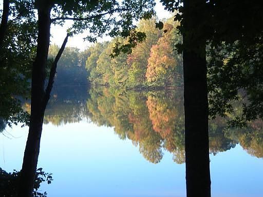 Gorgeous View from Patio