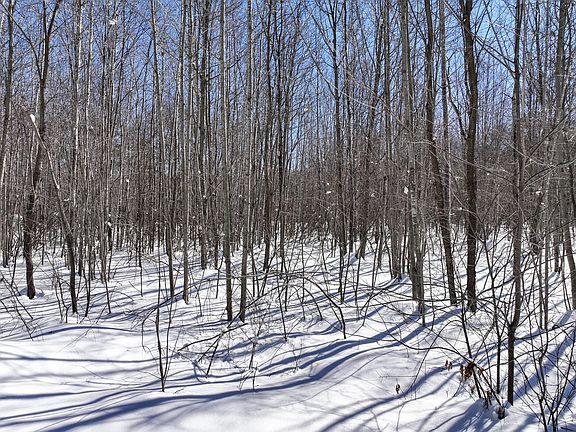 2nd image of 0 Badger Road