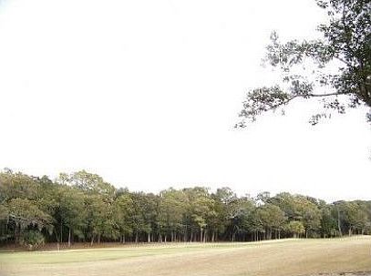 2nd image of 11 Sabal Palm Ct