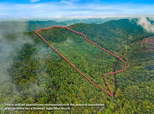 1775 Snake Hollow Rd, Sneedville, TN 37869