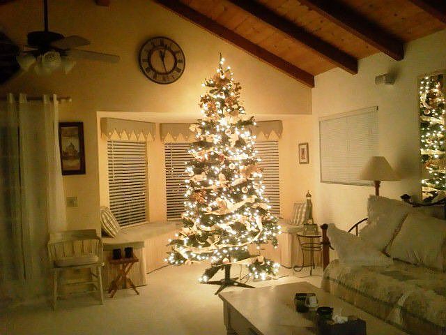 Breakfast area & Living room