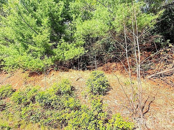5th image of 0 Jeter Mountain Rd