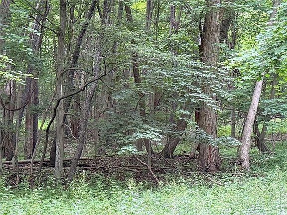 5th image of 1592 Emerson Rd