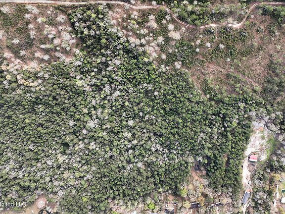 3rd image of 0 Palmer Creek Dr
