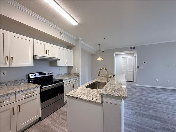 4th image of 5618 PINNACLE HEIGHTS CIRCLE #305