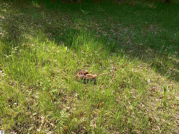 2nd image of 3240 S Baroda Dr Lot 31