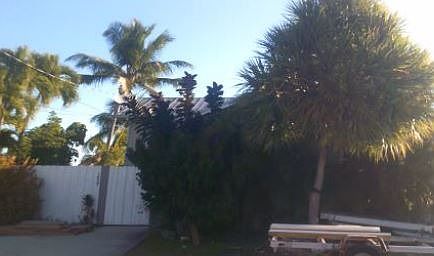 2nd image of 1609 Jamaica Dr