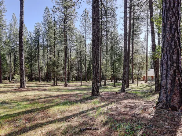 10424 Woods Ravine Ct, Nevada City, CA 95959