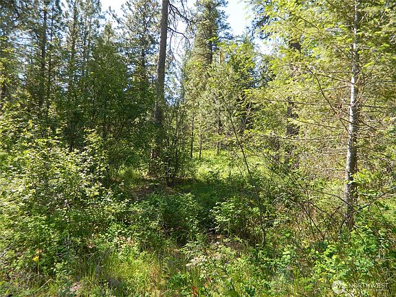 2nd image of 111 TBD Murphy Ranch Road