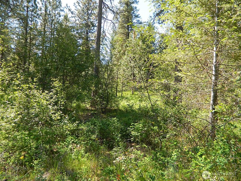 2nd image of 111 TBD Murphy Ranch Road