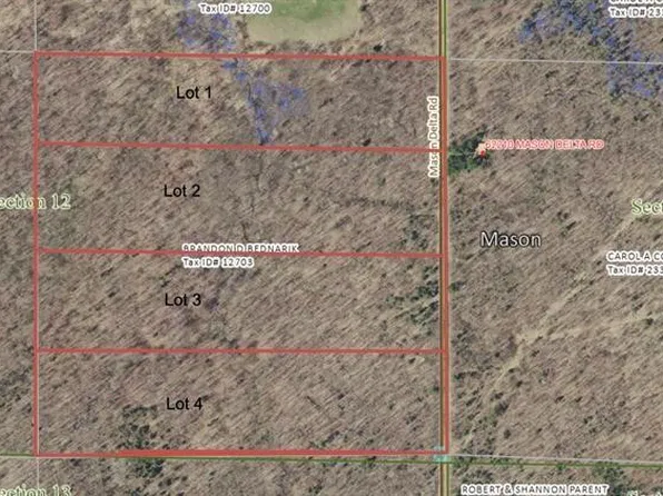 Lot 1 Mason Delta Road, Delta, WI 54856