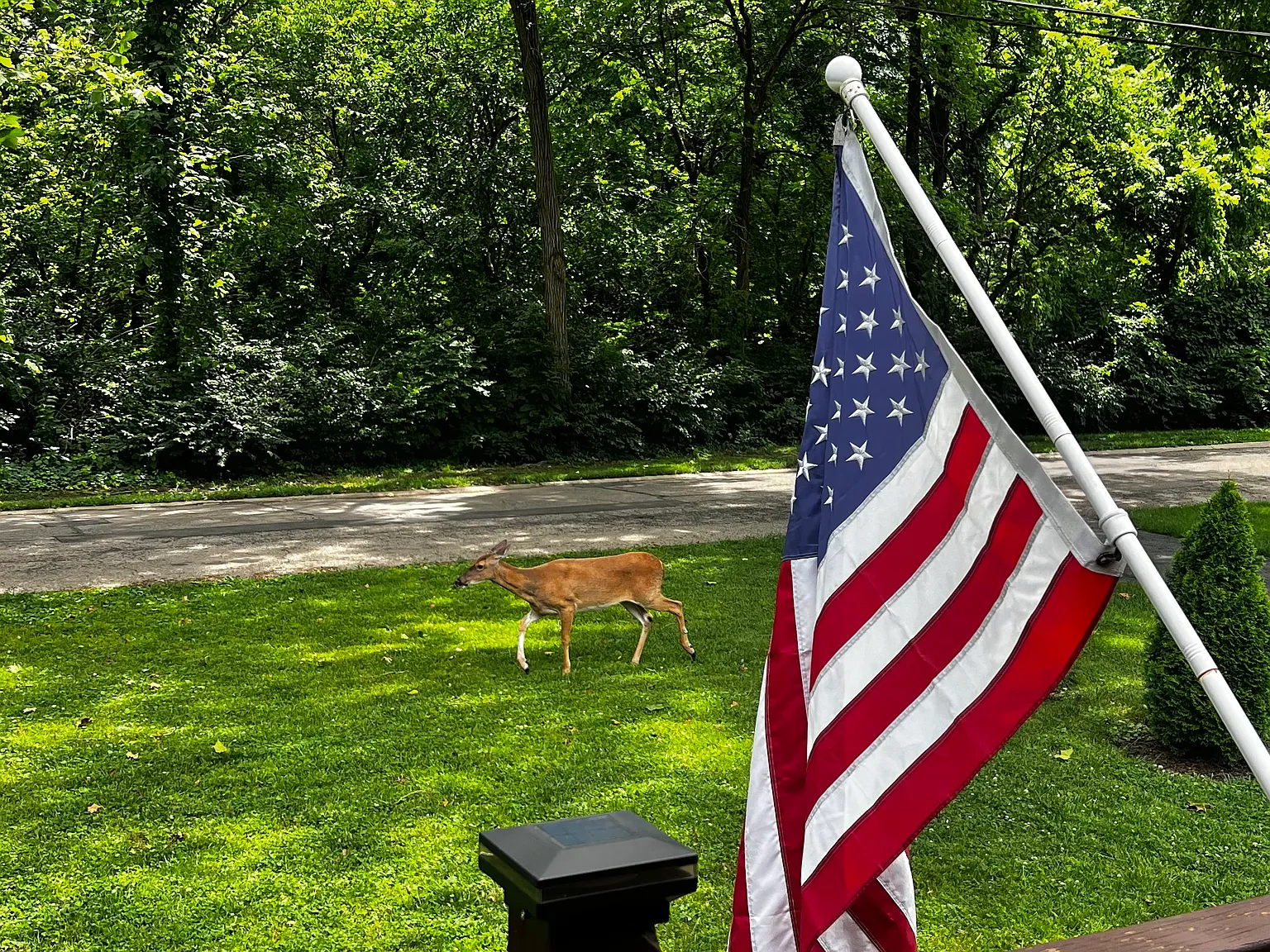 N Park Ave, Cincinnati — Photo 1