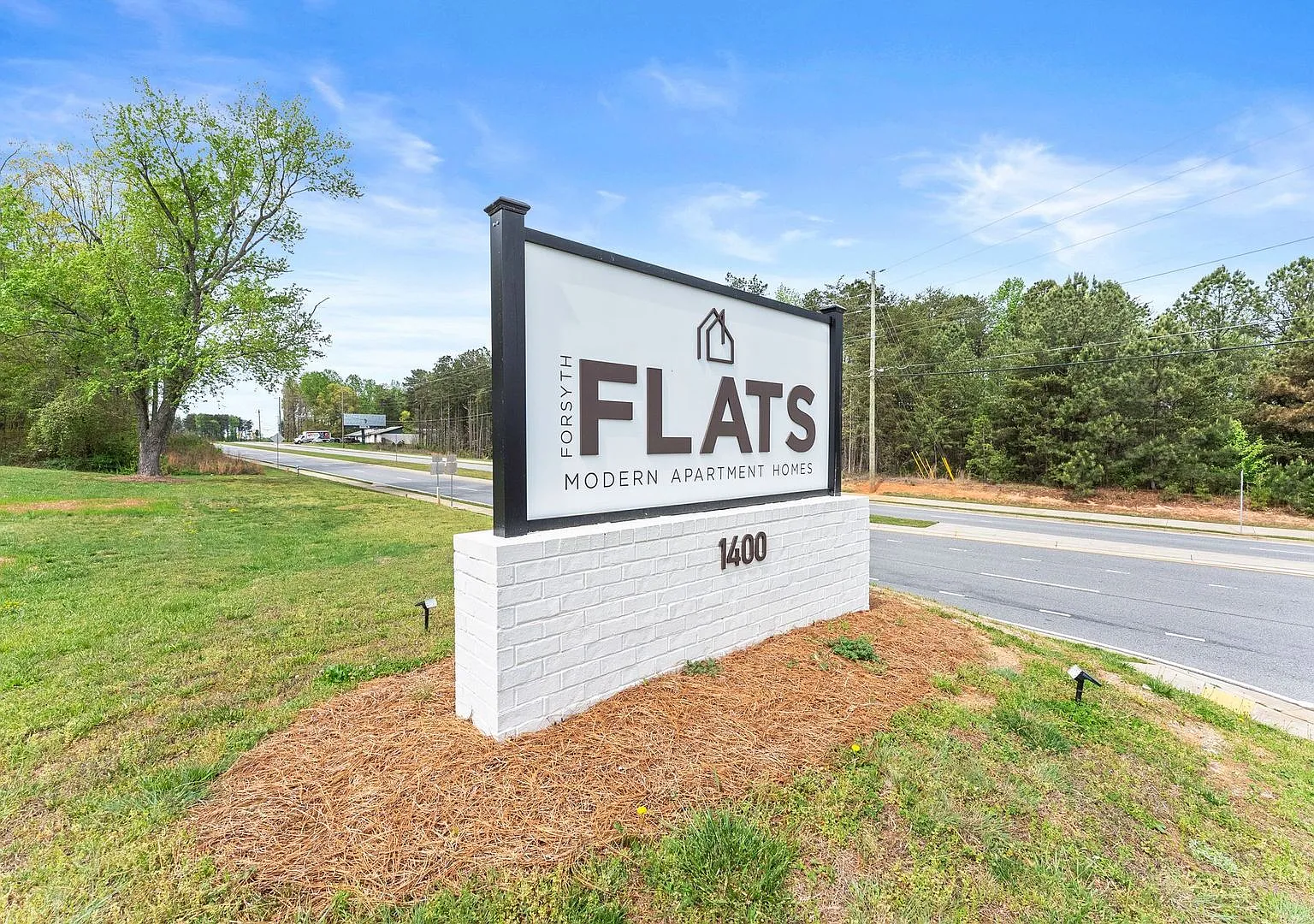 Forsyth Flats — Photo 2