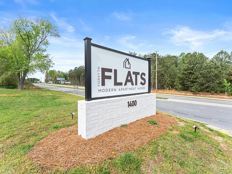 Forsyth Flats — Photo 3