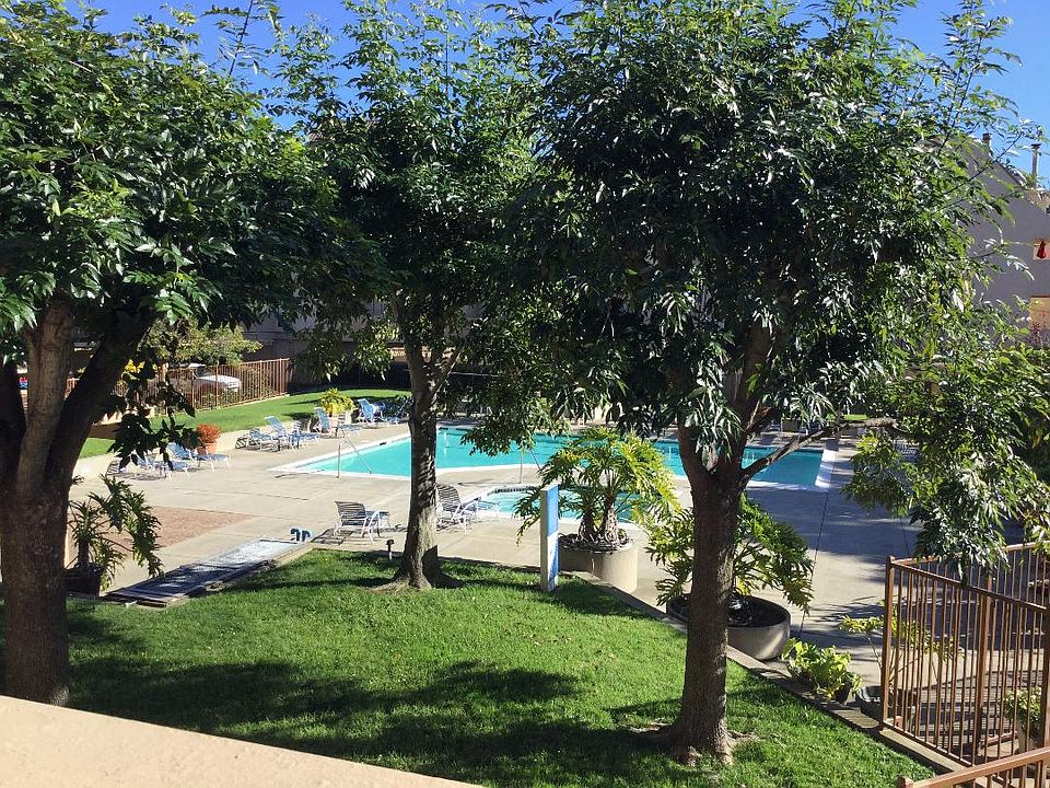 another view of the pool area