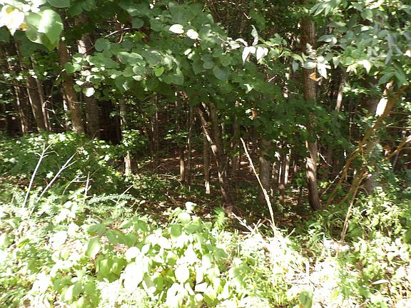 2nd image of 0 Fox Ln