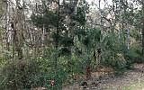2nd image of Suwanee Avenue Fernandina Beach Amelia Is