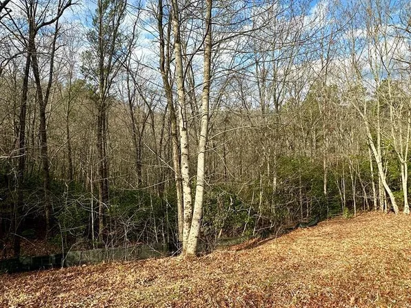 LOT 36 Blue Horizon Dr, Blue Ridge, GA 30513