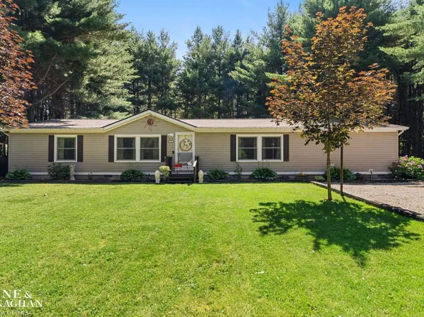 251 White Pine Ln, Croswell, MI 48422