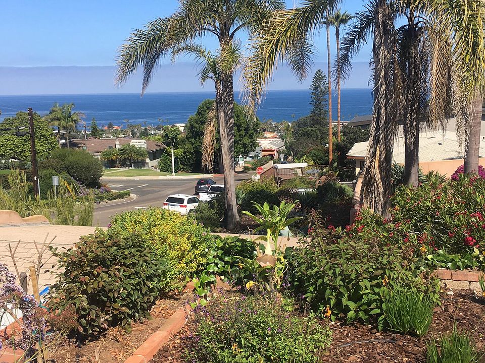 Ocean view!